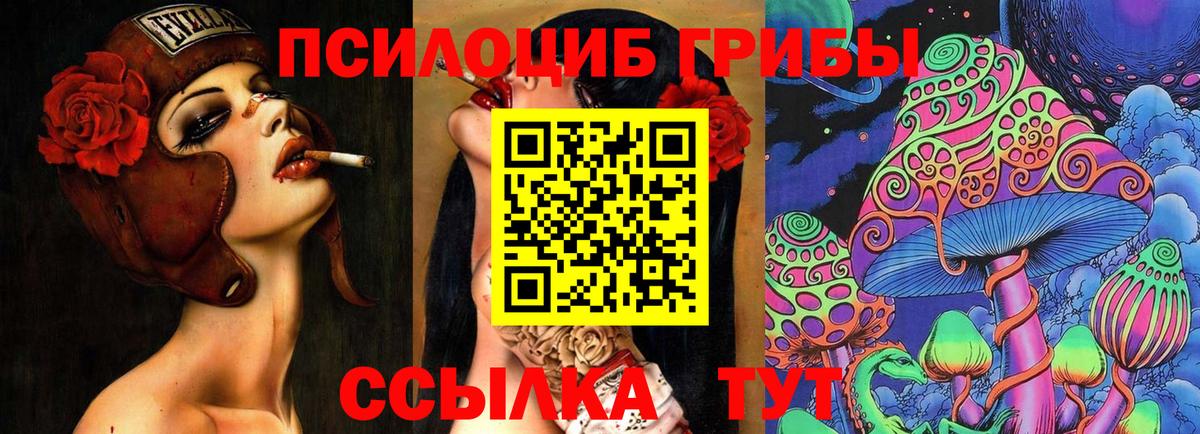 Псилоцибиновые грибы MAGIC MUSHROOMS Фрязино