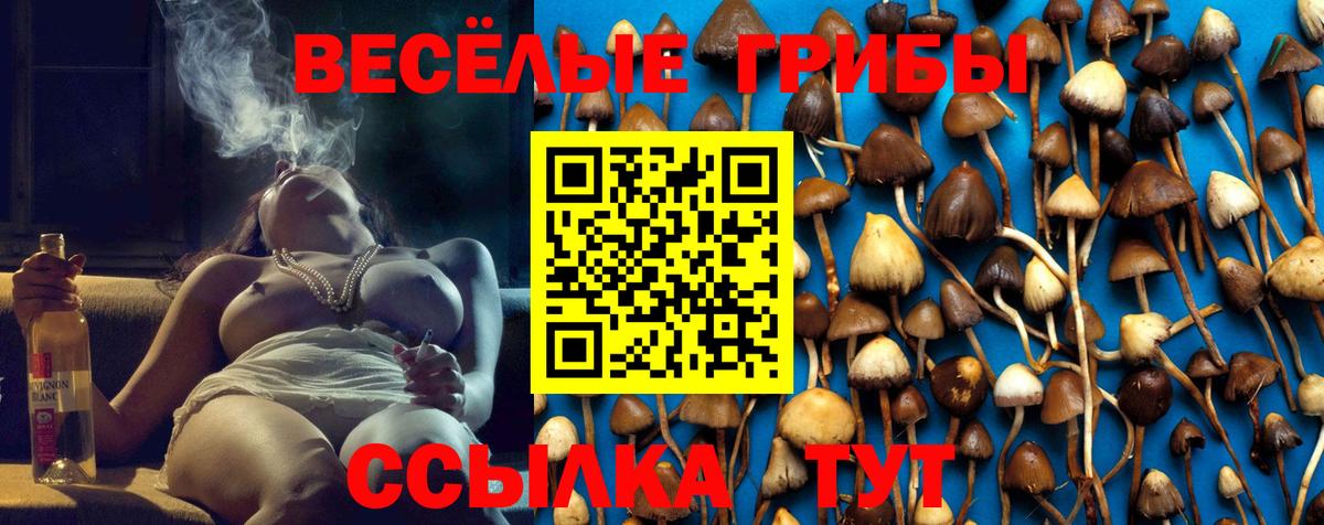 Галлюциногенные грибы ЛСД  Вход с VPN  купить наркотик  Фрязино 